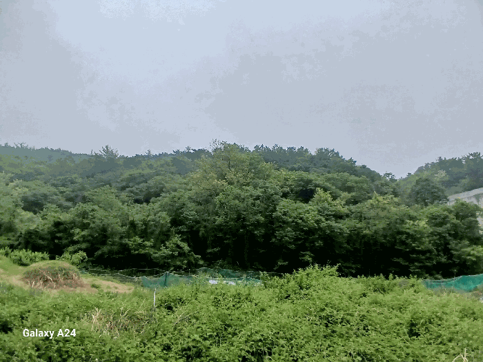 일련번호 2)