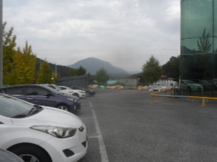 기호 1번 근거리에서 촬영한 것임