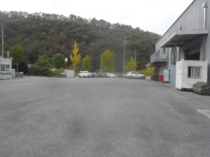 기호 1번 근거리에서 촬영한 것임