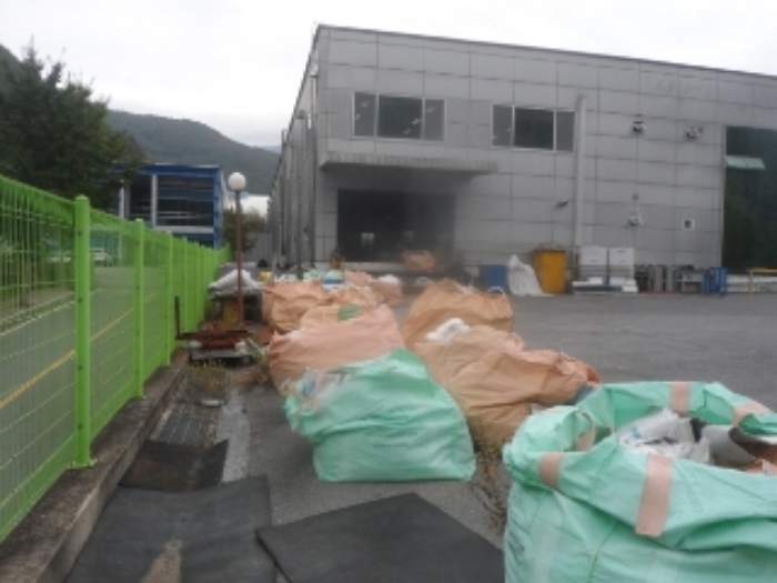 기호 1번 근거리에서 촬영한 것임