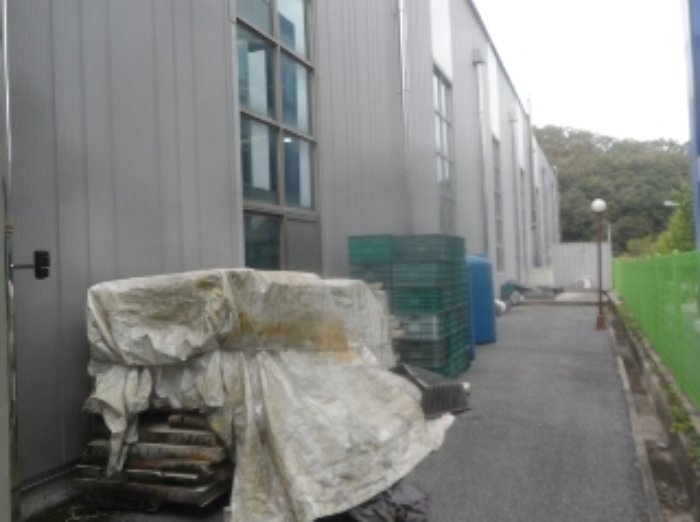 기호 1번 근거리에서 촬영한 것임