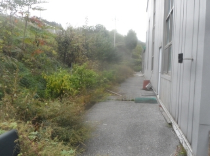 기호 1번 근거리에서 촬영한 것임