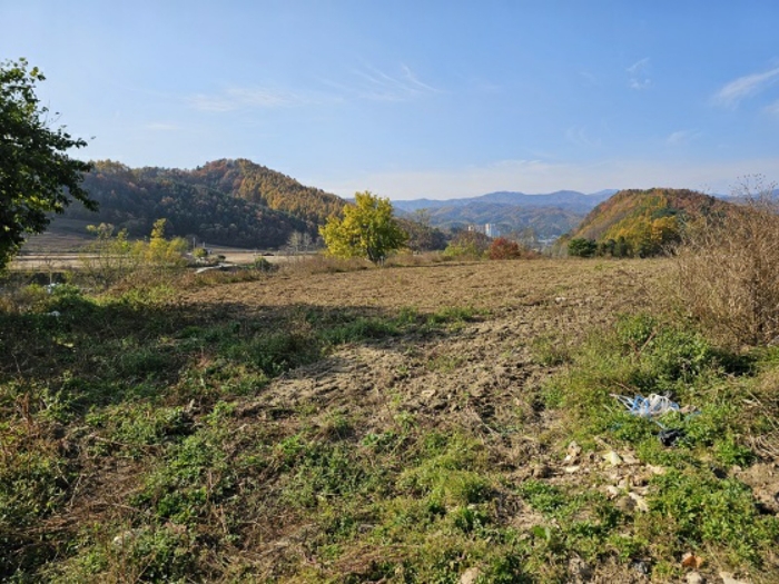 일련번호(7) 남동측 전경