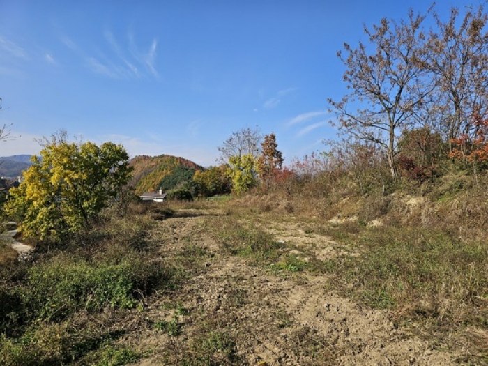 일련번호(11) 남측 전경