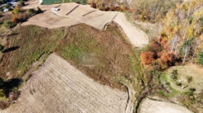 기호 5,7,8번 근거리에서 촬영한 것임