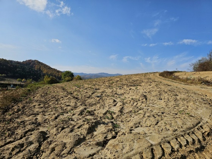 일련번호(5) 남동측 전경