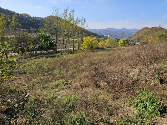 일련번호(9) 남동측 전경