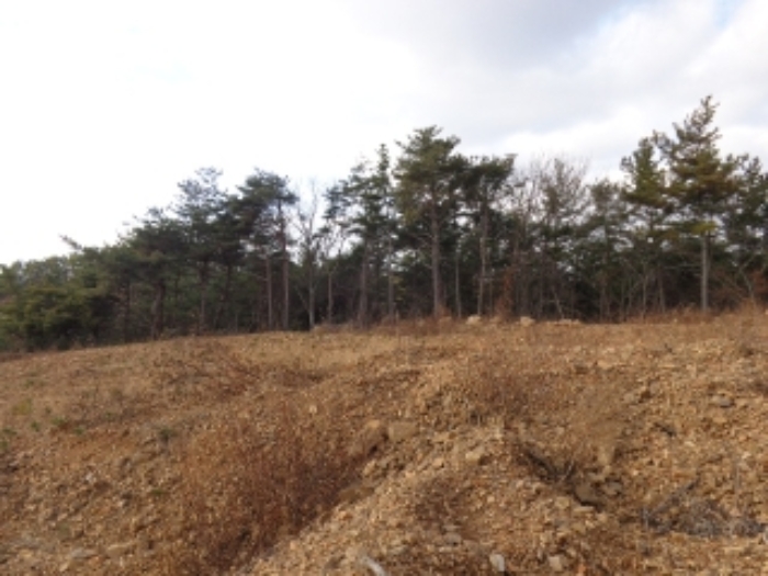 [목록 6] 동쪽에서 바라본 모습