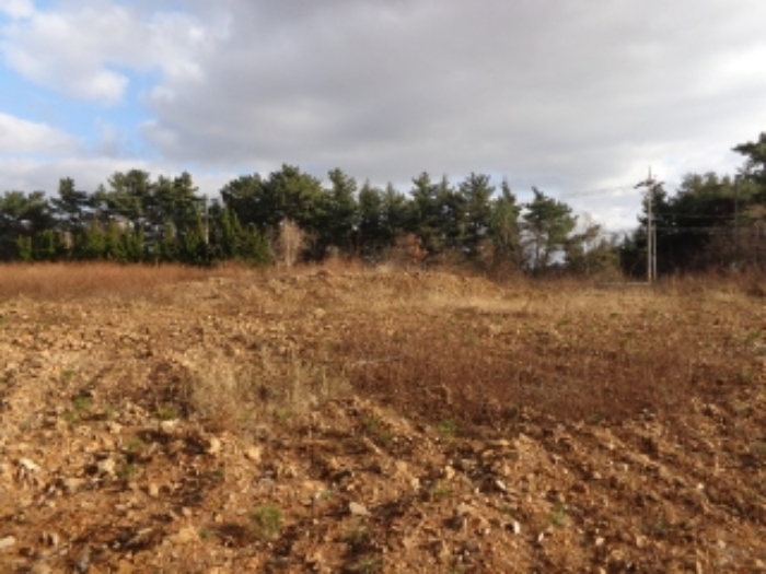 [목록 6] 토목공사가 진행된 동쪽 지상의 모습