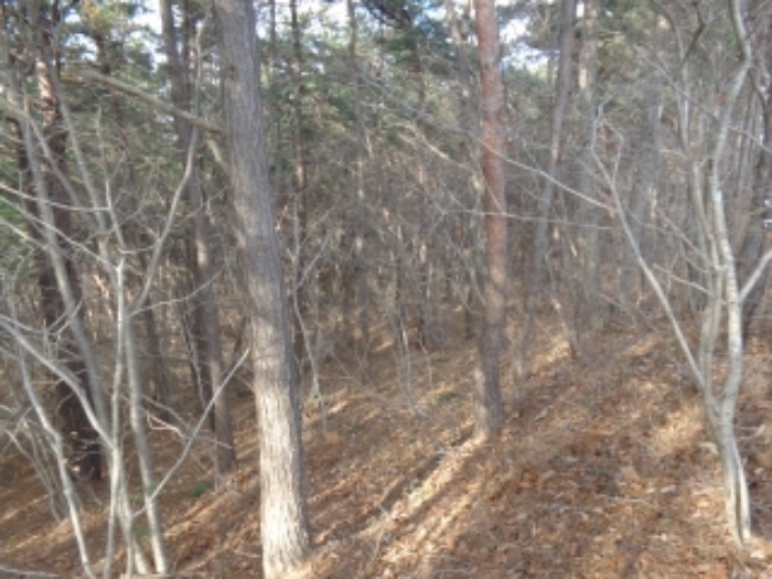 [목록 6] 서쪽 지상의 내부 모습