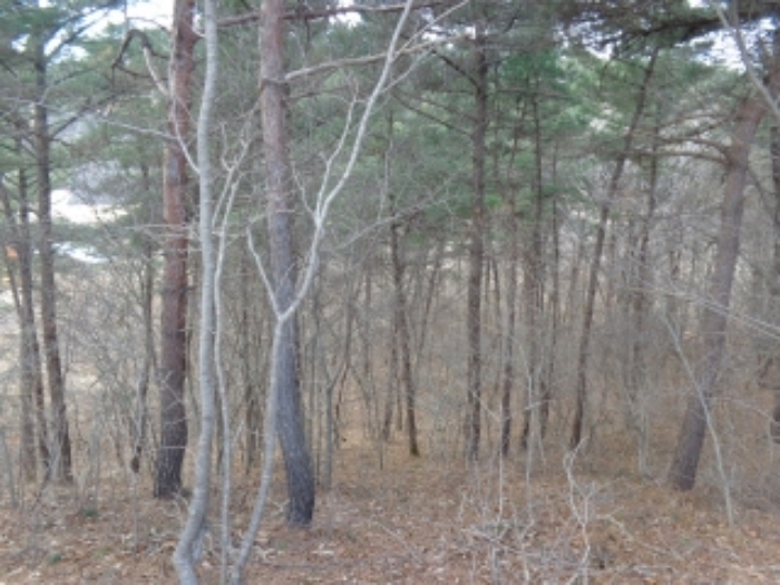 [목록 6] 서쪽 지상의 내부 모습