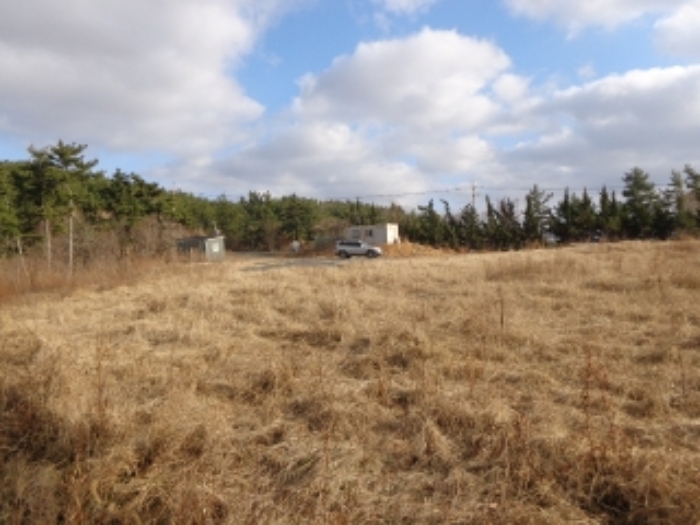 [목록 2] 토목공사가 진행된 동쪽 지상의 모습