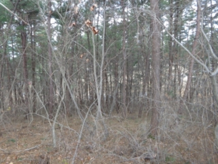 [목록 2] 서쪽 지상의 내부 모습