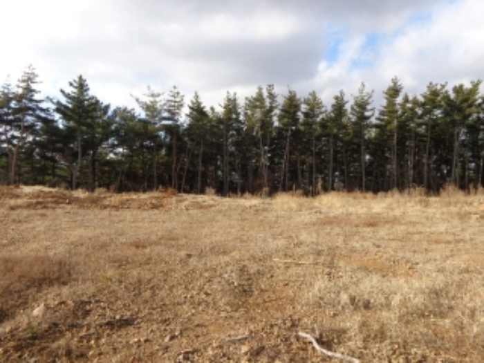 [목록 5] 동쪽에서 바라본 모습