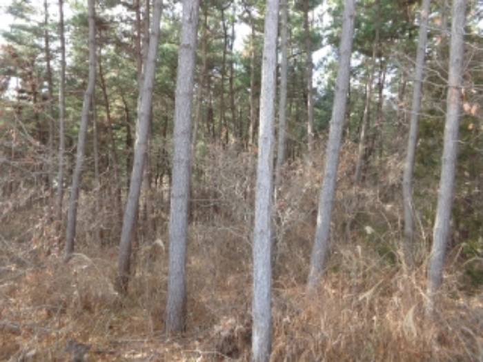 [목록 5] 서쪽 지상의 내부 모습