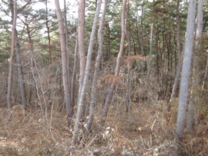 [목록 5] 서쪽 지상의 내부 모습