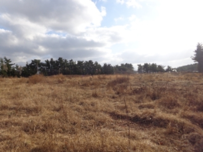 [목록 1, 2, 3, 4, 5, 6] 목록 2의 중앙 부분 북쪽 지상에서 토목공사가 진행된 지상을 바라본 모습