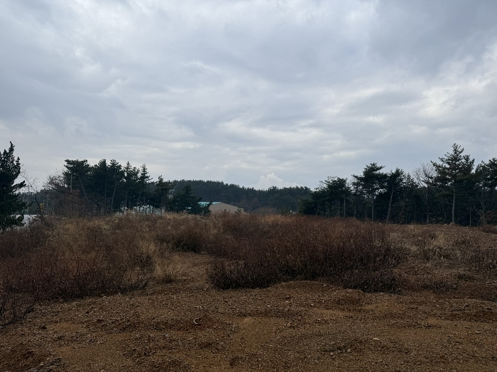 기호(6) 및 주위전경