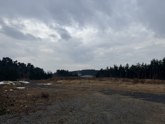 기호(5) 및 주위전경