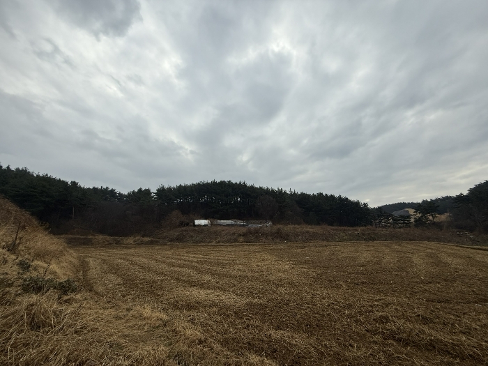 기호(5) 및 주위전경