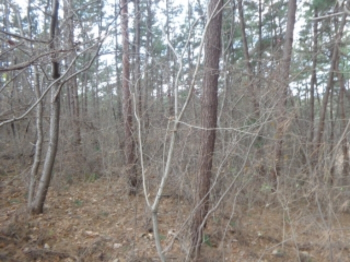 [목록 2] 서쪽 지상의 내부 모습