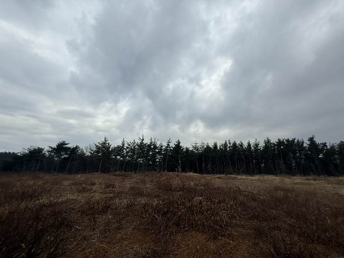 기호(6) 및 주위전경