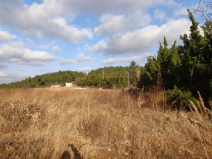 [목록 3] 남쪽에서 바라본 모습