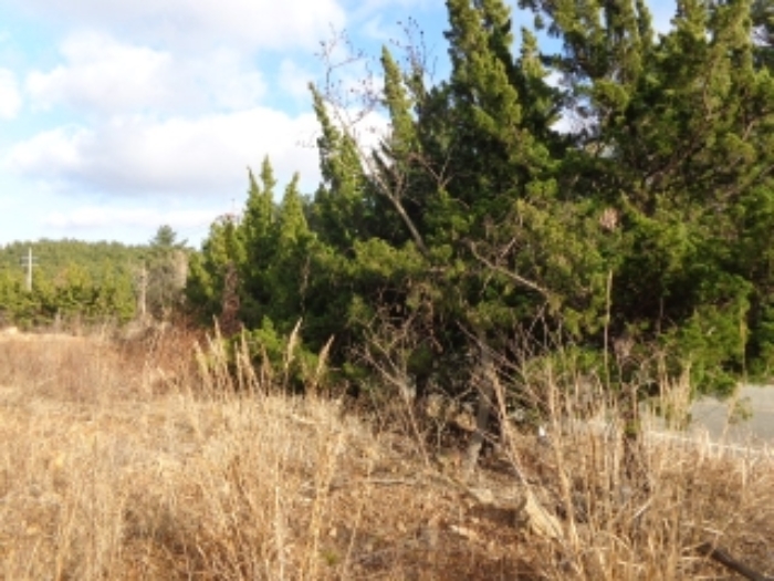 [목록 3] 동쪽 경계 부분 지상의 모습