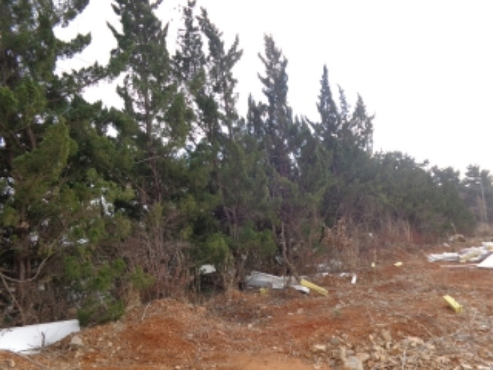 [목록 3] 동쪽 경계 부분 지상의 모습