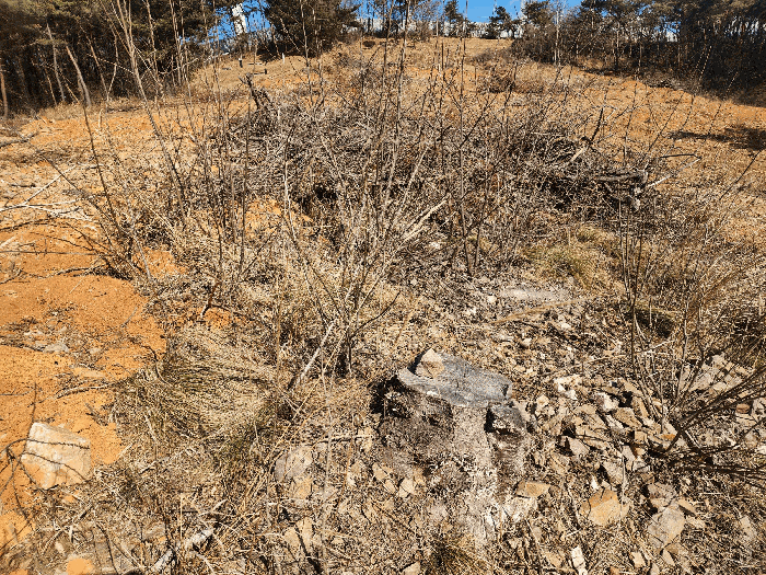 기호1 (수목 등 제거된 상태)