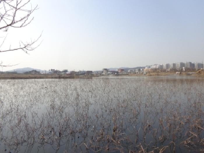 동쪽에서 바라본 모습