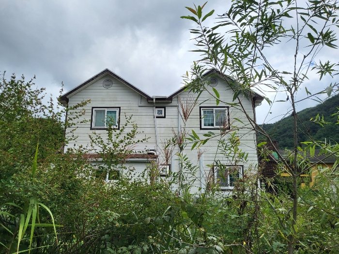 기호(가) 후면