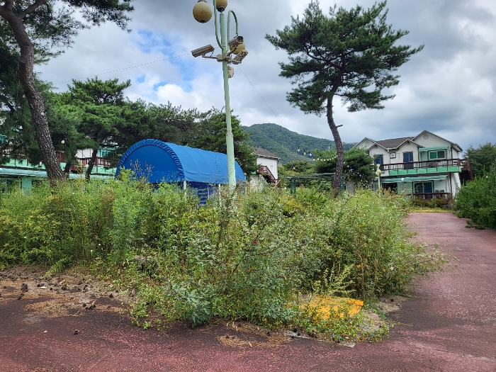 기호(3) 북동