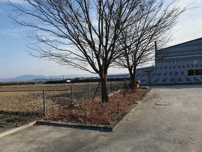 [수목(일련번호 2)에 소재]