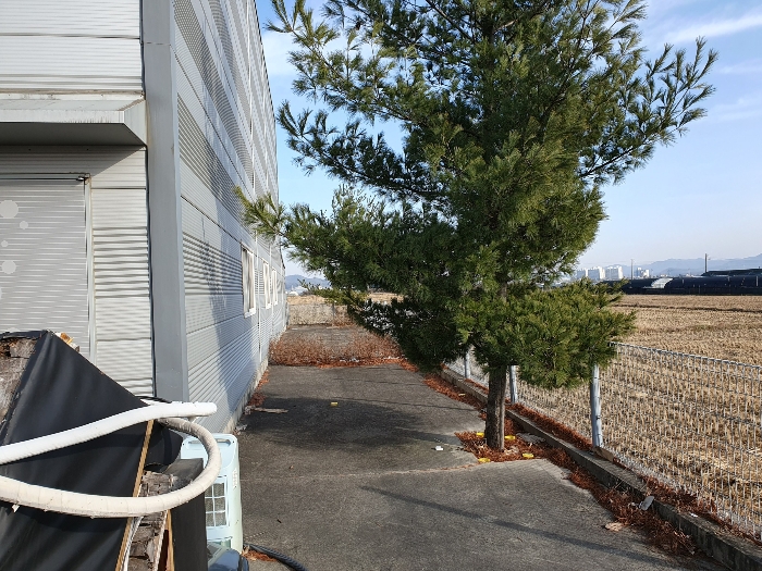 [수목(일련번호 2)에 소재]