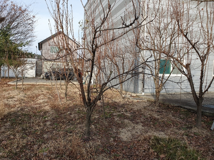 [수목(일련번호 3)에 소재]