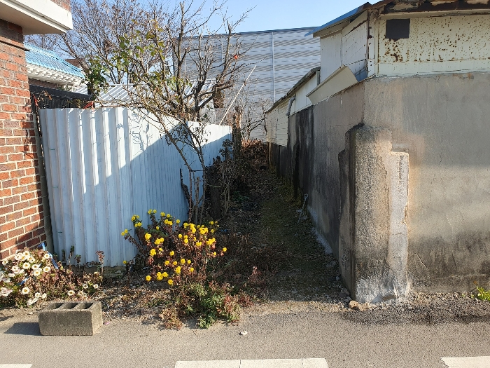 [본건전경(일련번호 3)]