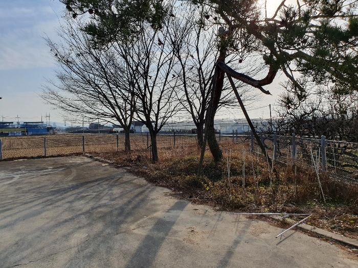 [수목(일련번호 2)에 소재]