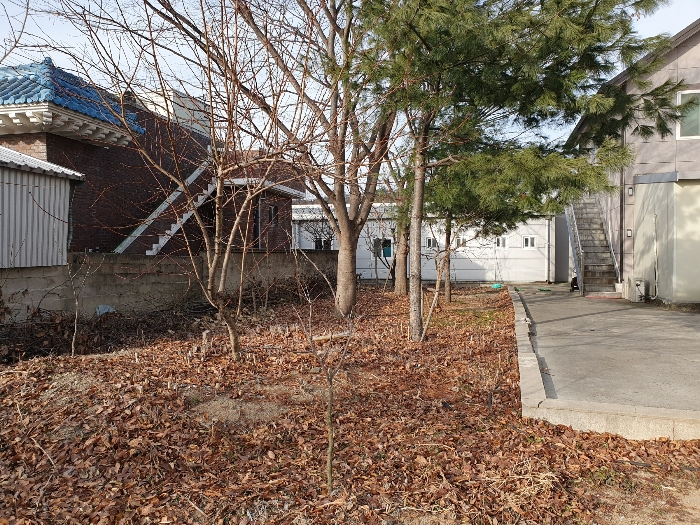 [수목(일련번호 3)에 소재]