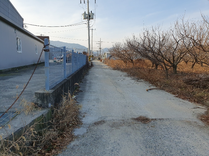 [인접도로 현황]