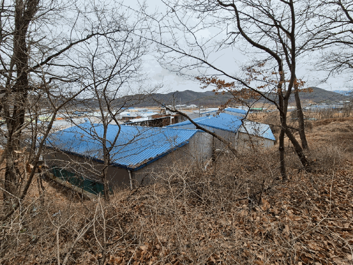 본건 공장 및 토지 전경