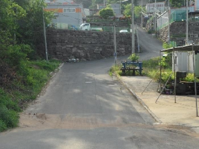 월성리 1286-5(도로)