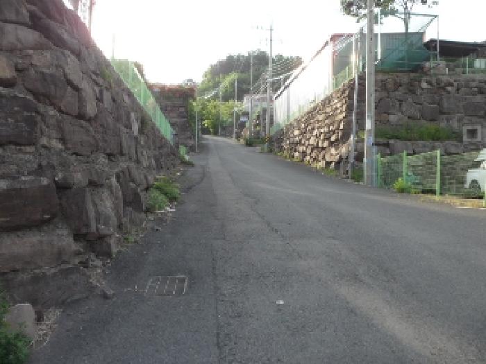 워성리 1286-8(도로)