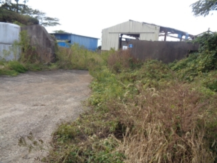 소재지1(금악리 196-17) 대지 전경 사진