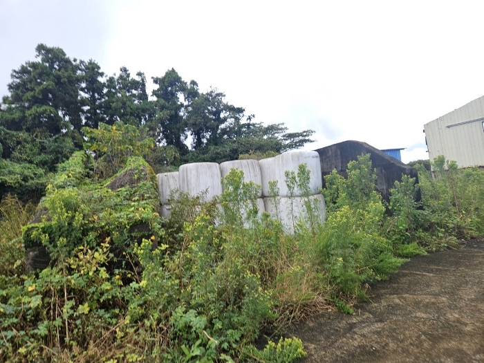 제시외 건물(ㄴ)