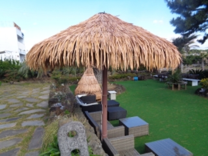 소재지1(창천리 784) 전경 사진