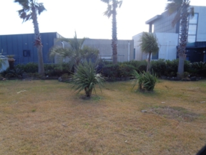 소재지1(창천리 784) 전경 사진