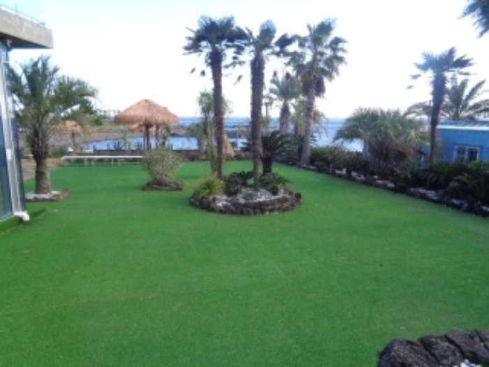 소재지1(창천리 784) 전경 사진