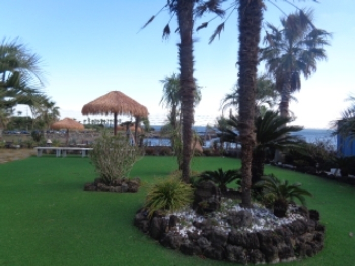 소재지1(창천리 784) 전경 사진