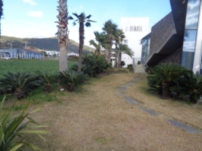 소재지1(창천리 784) 전경 사진